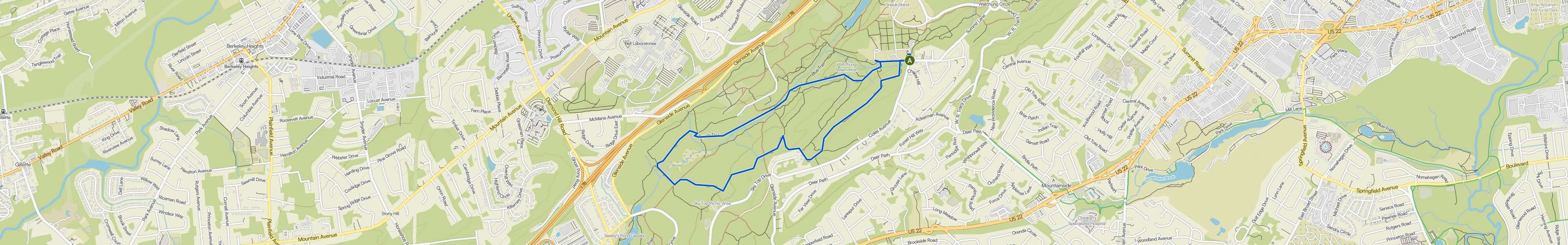 map_image_toggle