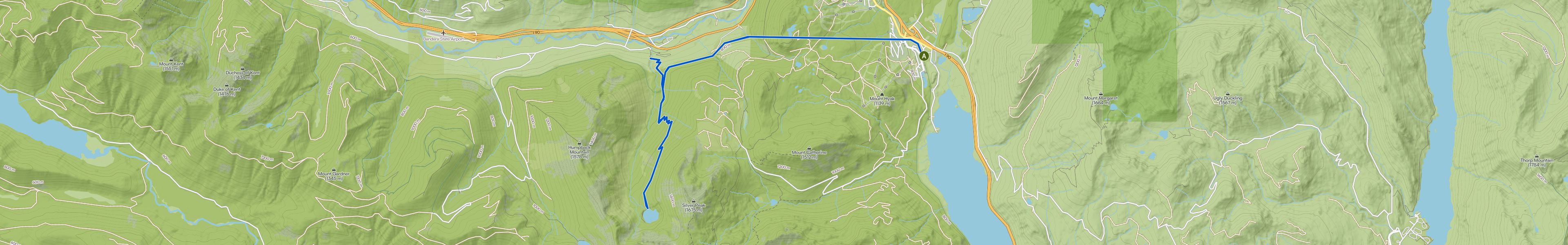 map_image_toggle