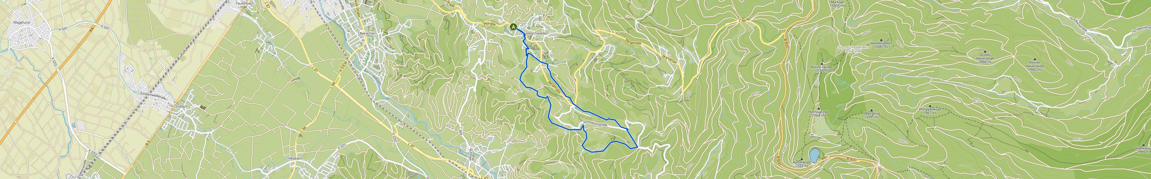 map_image_toggle