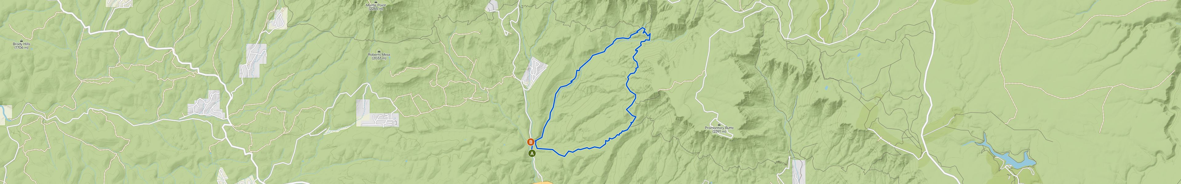 map_image_toggle