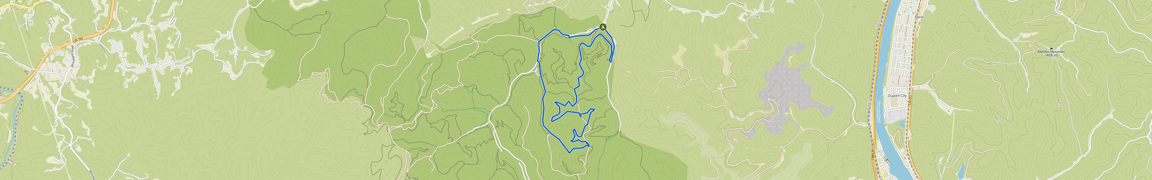 map_image_toggle
