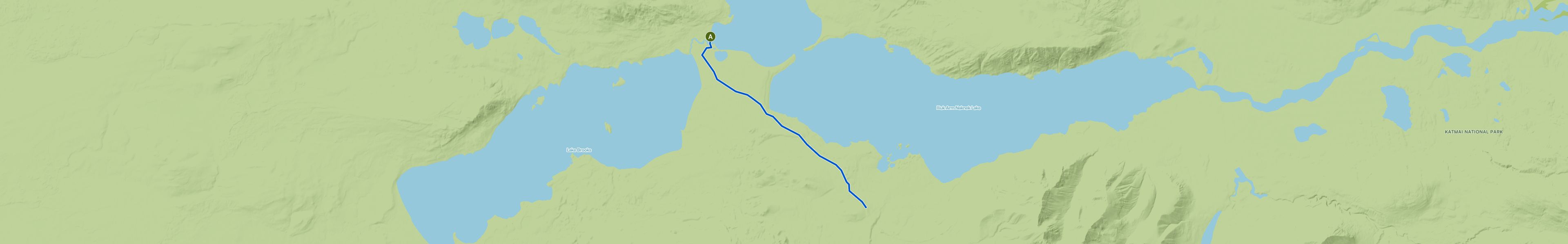 map_image_toggle