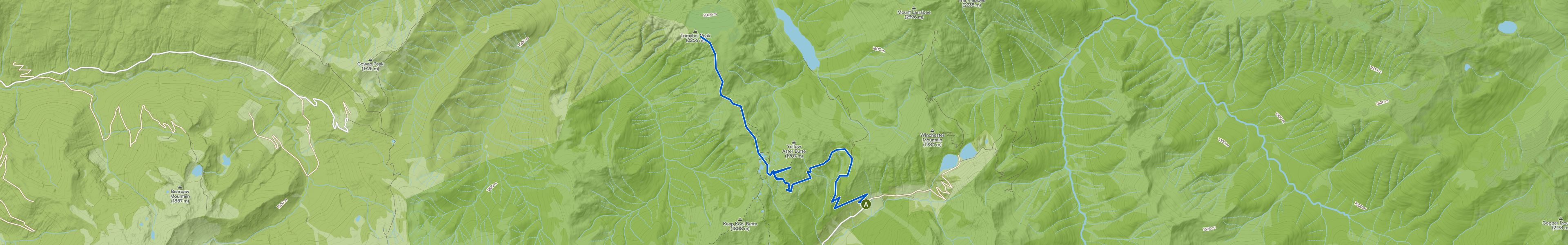 map_image
