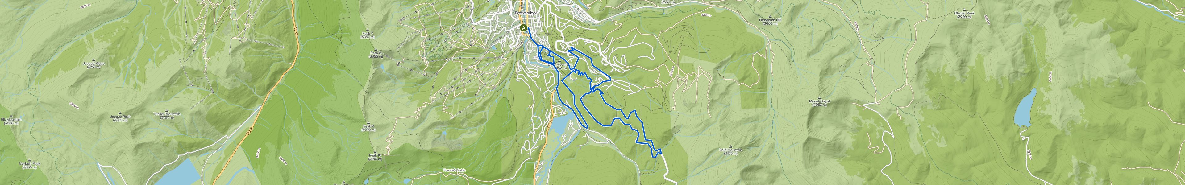 map_image_toggle
