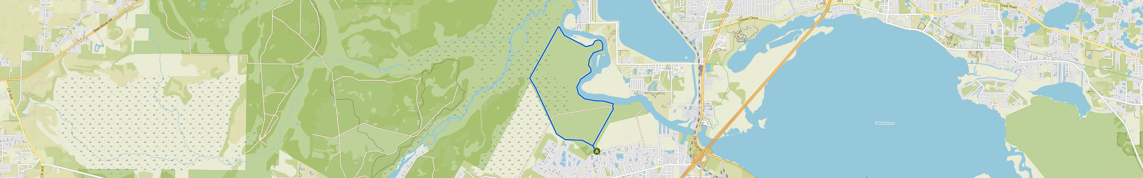 map_image_toggle