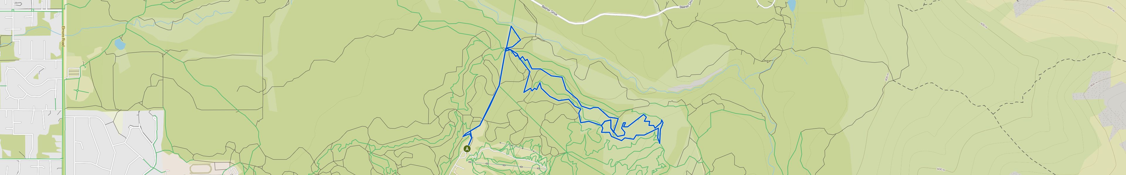 map_image_toggle