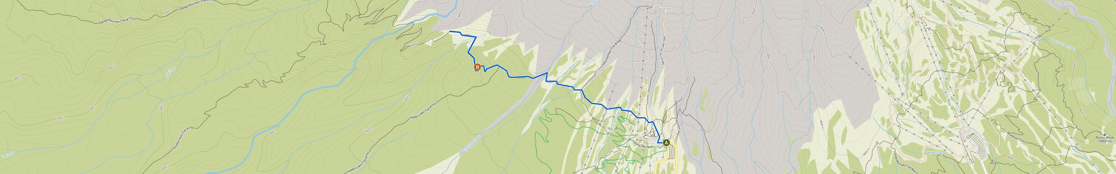 map_image_toggle