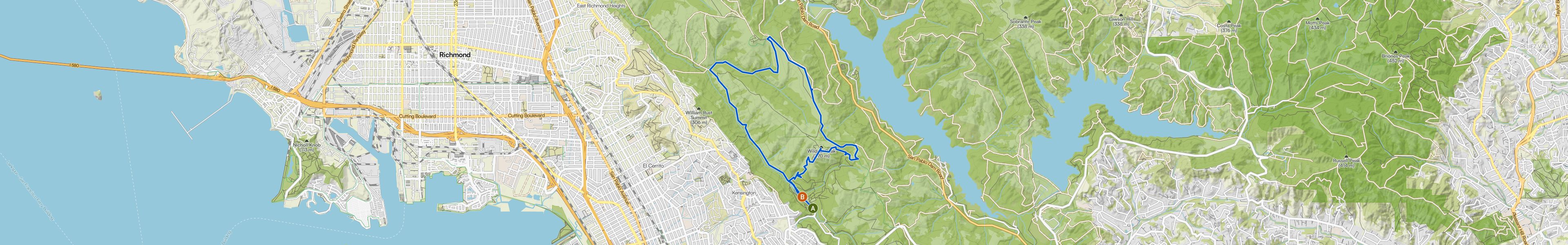 map_image_toggle