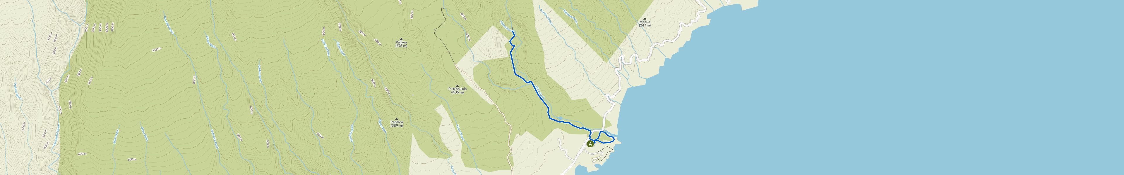 map_image_toggle