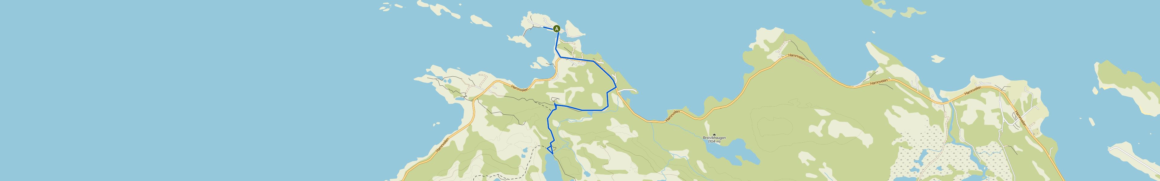 map_image
