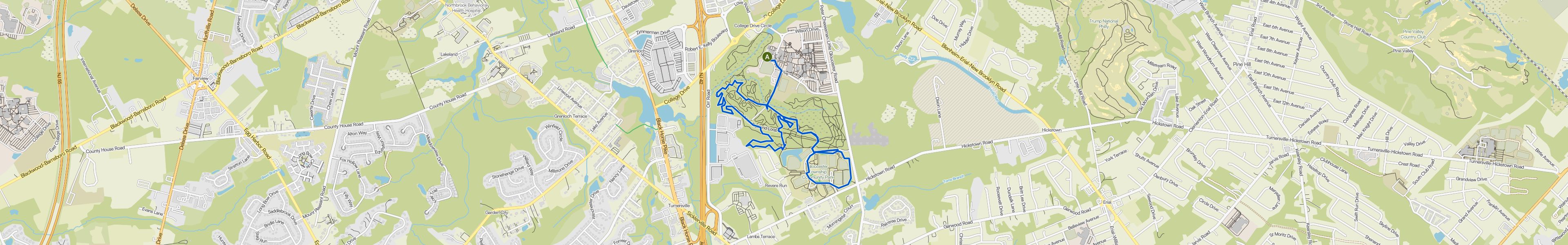 map_image_toggle