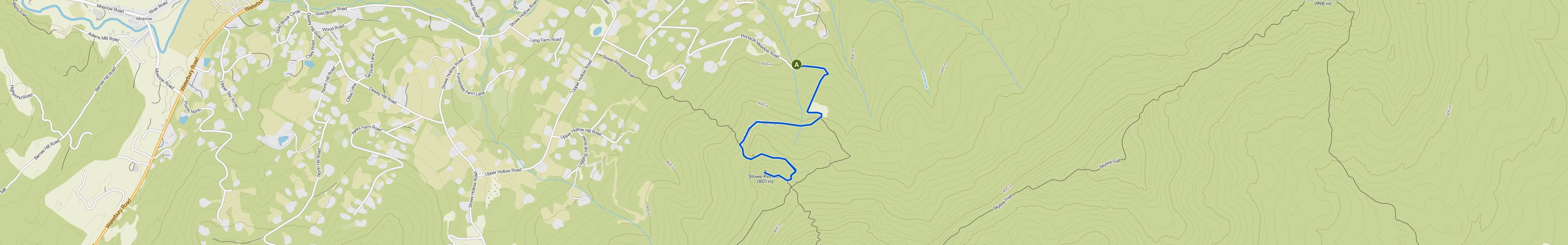 map_image_toggle