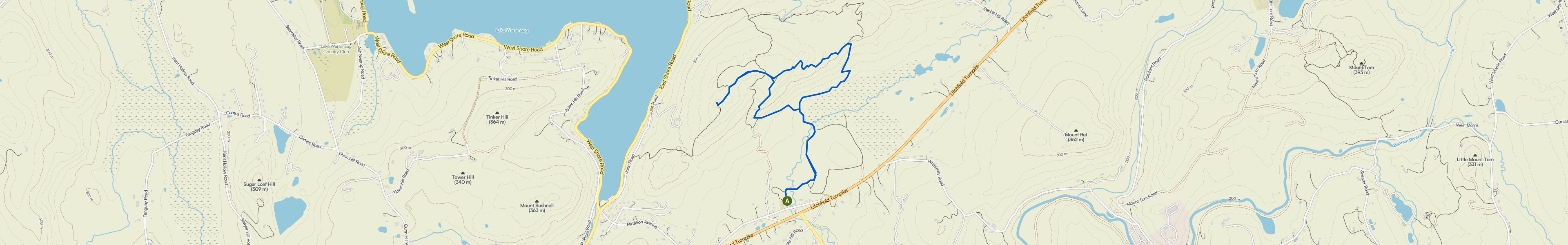 map_image_toggle