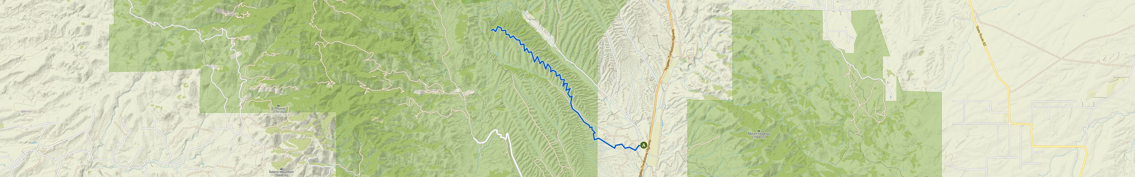 map_image_toggle