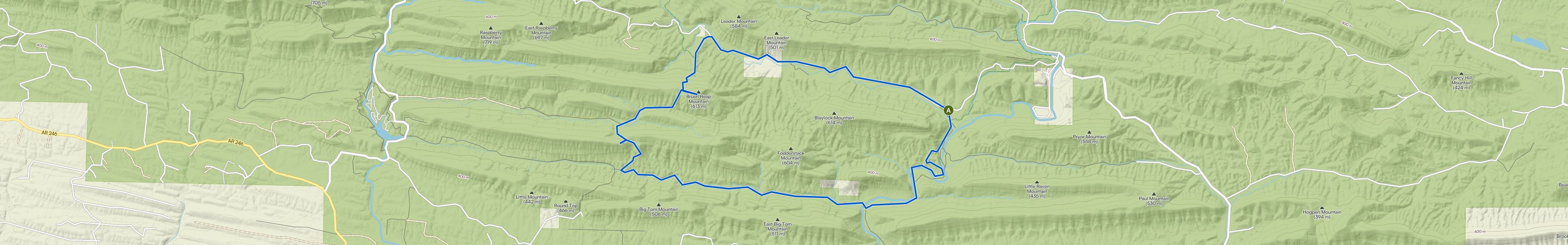 map_image_toggle
