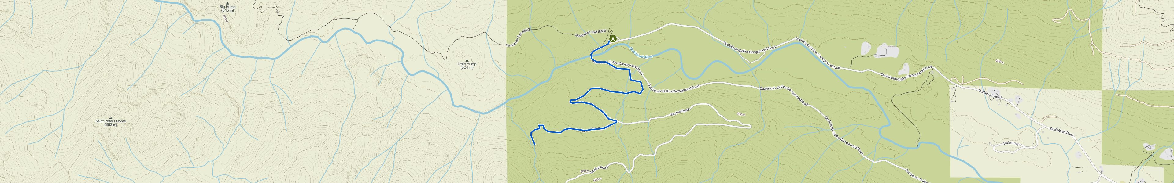map_image_toggle