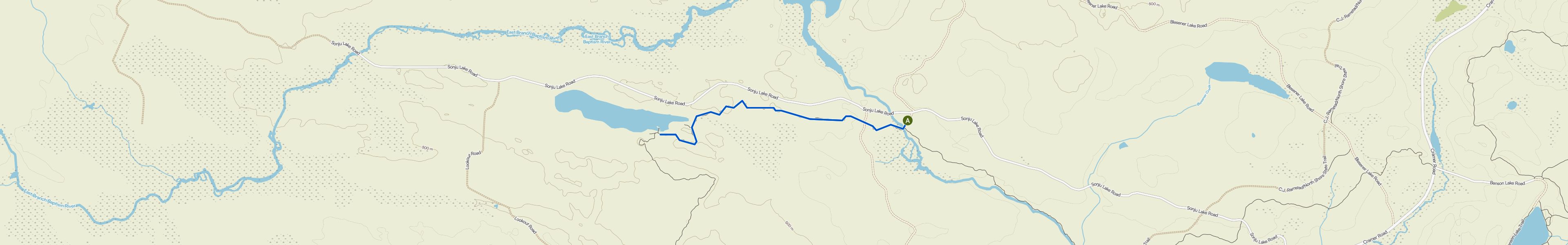 map_image_toggle