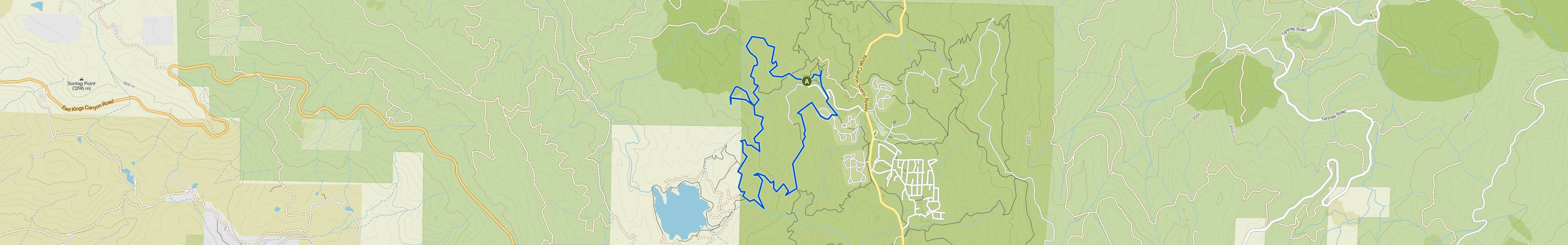 map_image_toggle