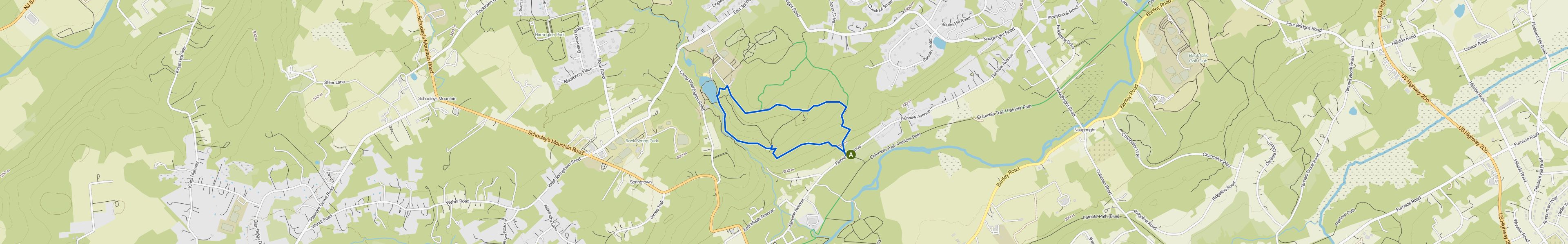 map_image_toggle