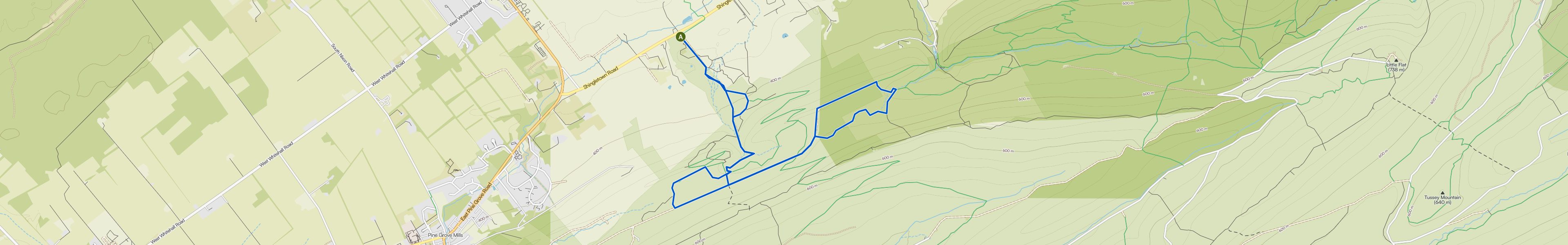map_image_toggle