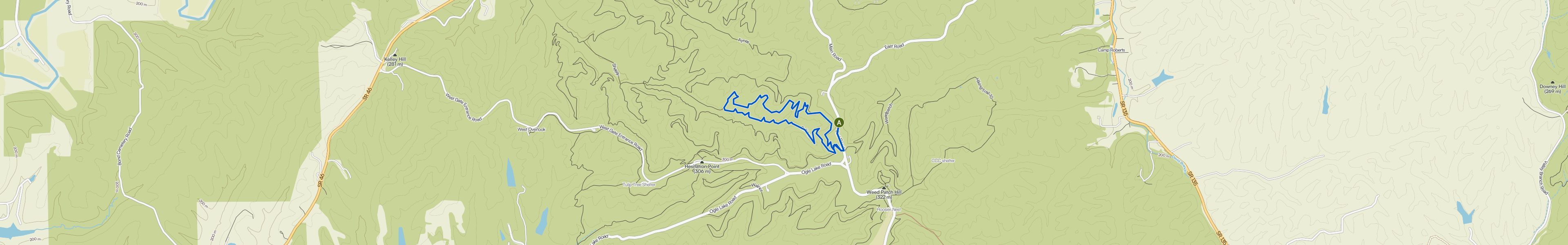 map_image_toggle