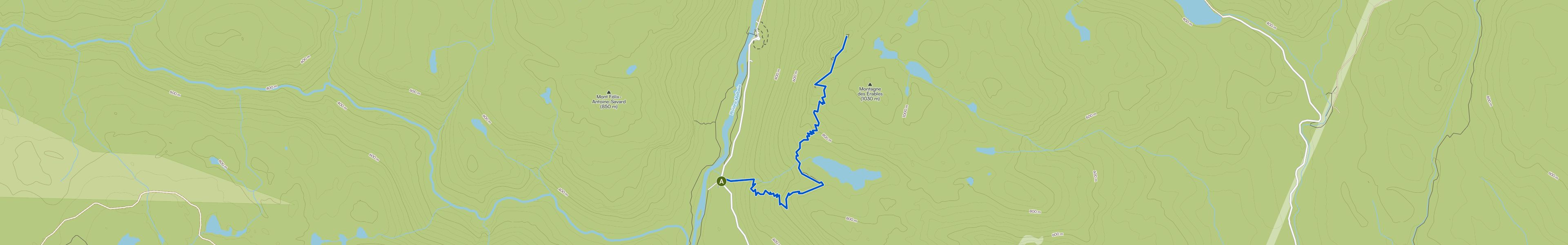 map_image_toggle
