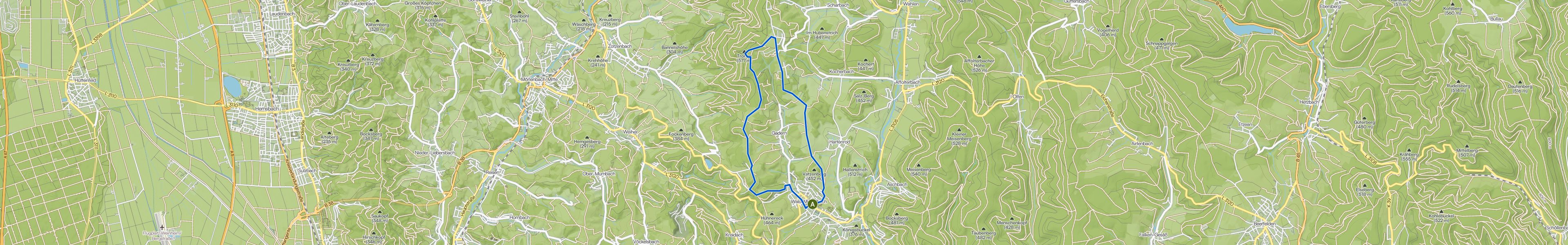 map_image_toggle