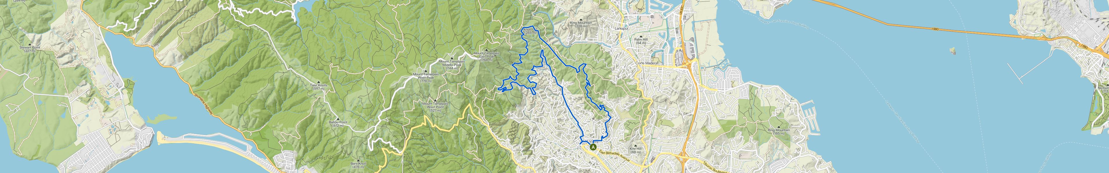 map_image_toggle