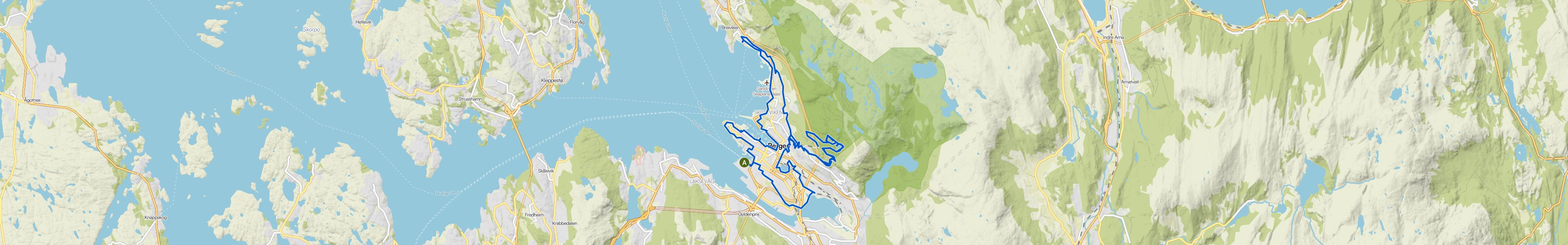 map_image