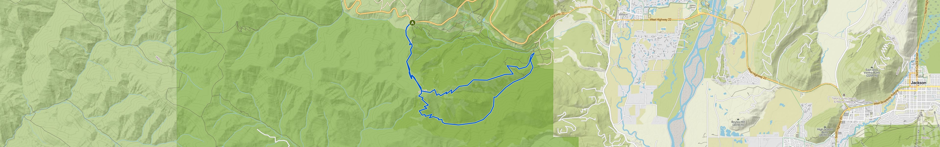 map_image_toggle