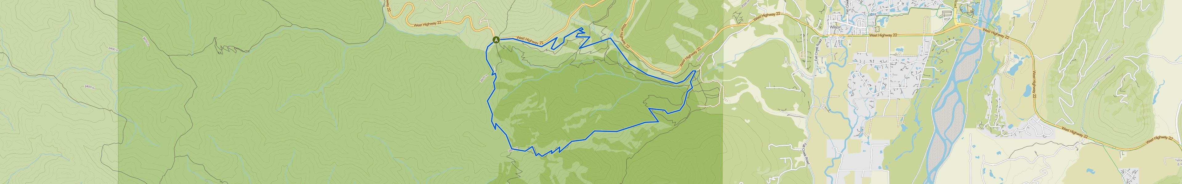 map_image_toggle