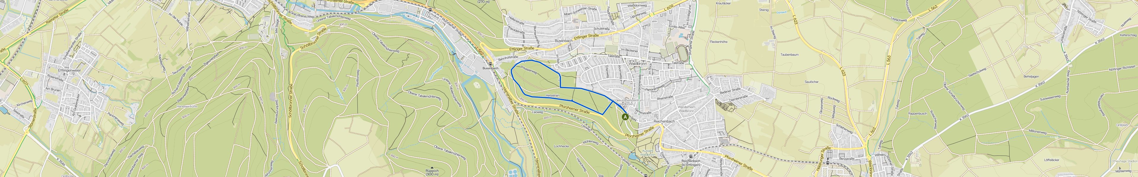 map_image_toggle