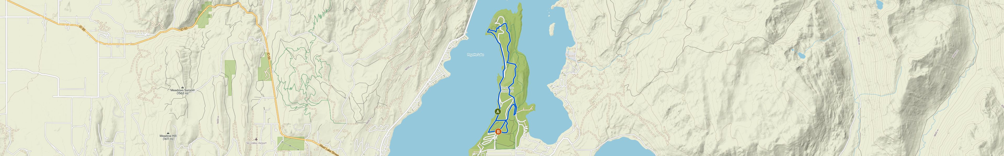map_image_toggle