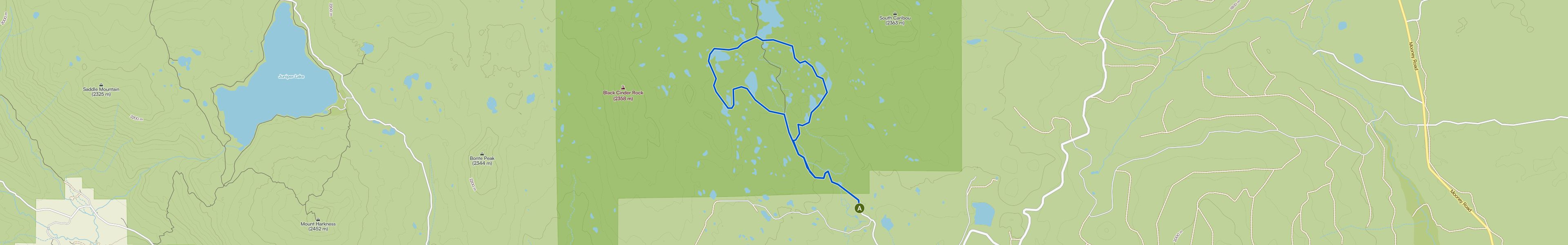 map_image_toggle